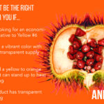 how to know if annatto is the right color for your application