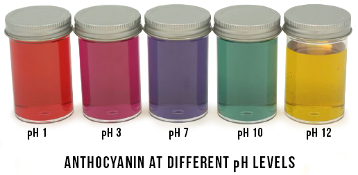 anthocyanin at different ph levels