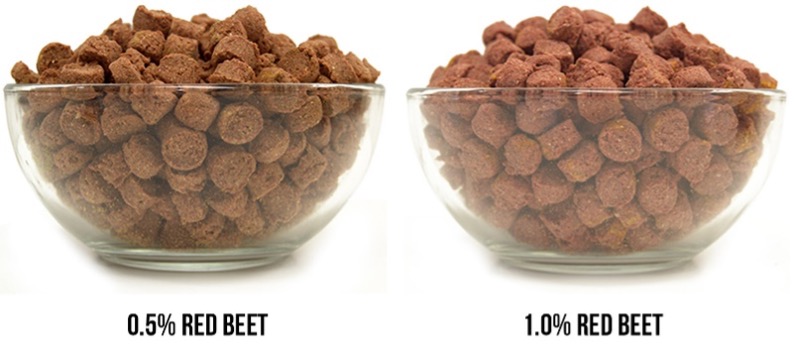 Red Beet at two different levels in pet food