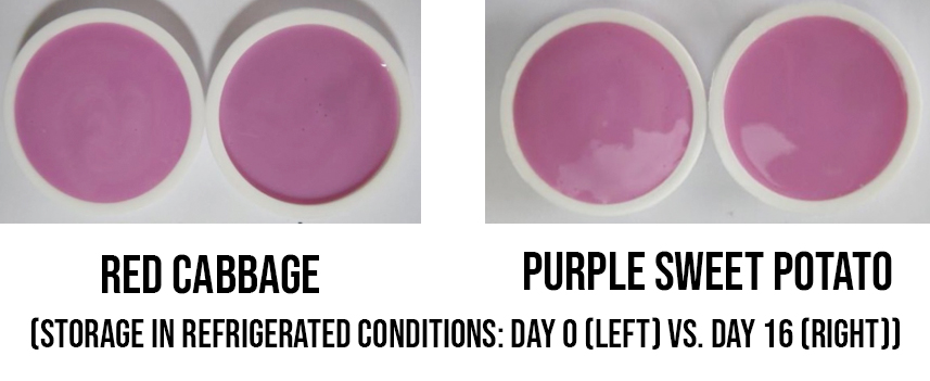 anthocyanin colors in fermented yogurt