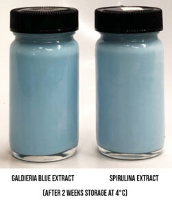 galdieria blue and Spirulina in fermented yogurt