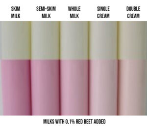 Milks with different fat content and red beet color