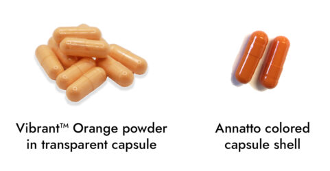 Powder in capsule vs colored capsule shell_lc article