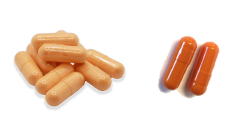Vibrant™ Orange powder in transparent capsule (left) and annatto colored capsule shell (right).
